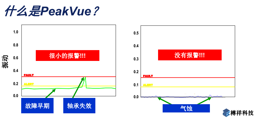 振动分析仪 Peakvue技术